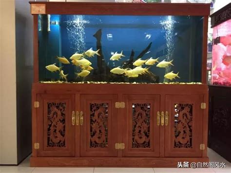 水族箱風水|家裡魚缸風水最佳位置擺放